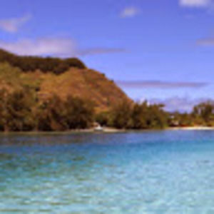 Meet your Posher, Ella